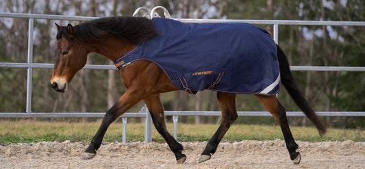 Bucas Therapy Walker Rug