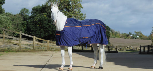Bucas Therapy Cooler Big Neck (466)